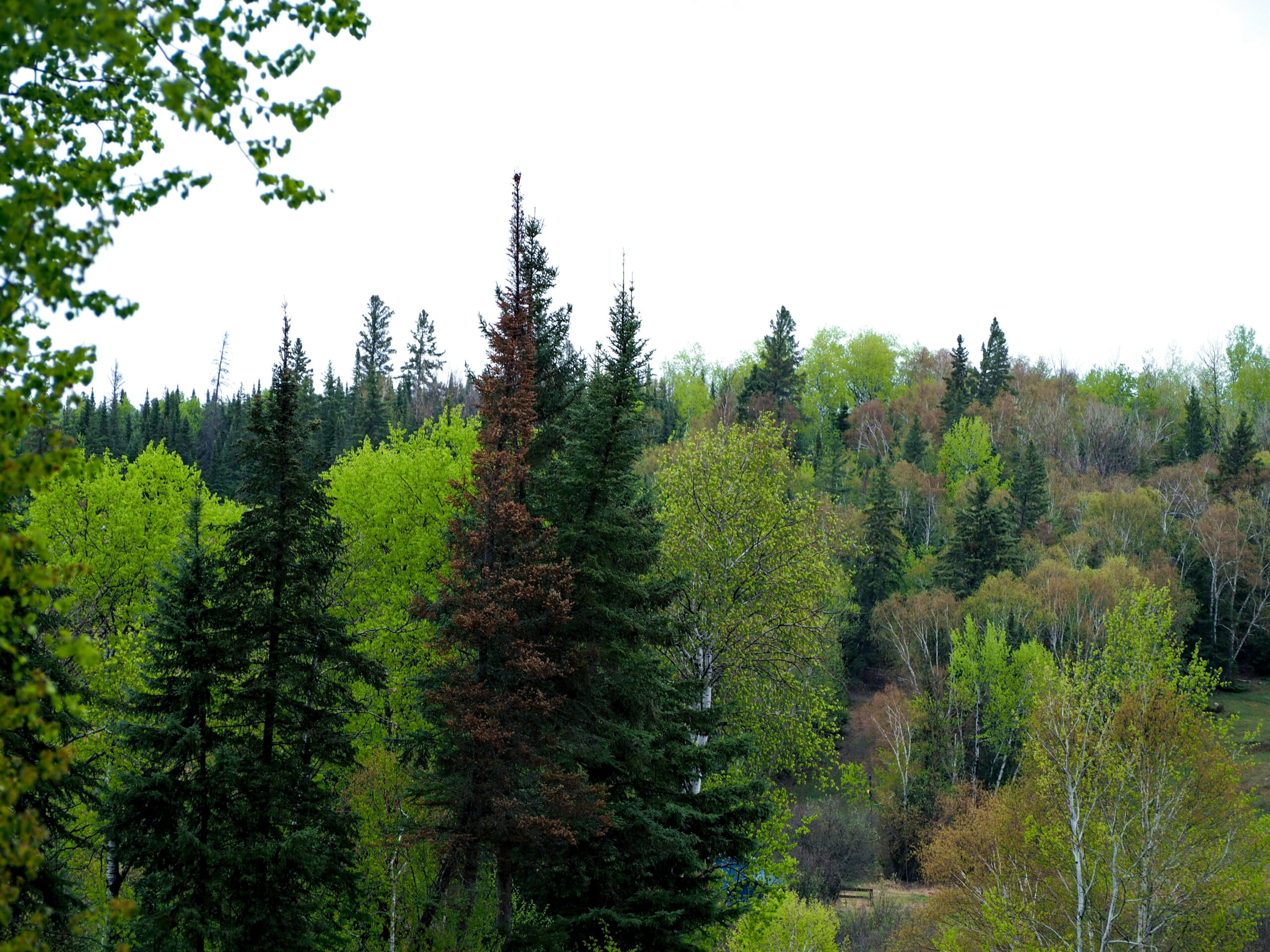 Falcon Lake, MB