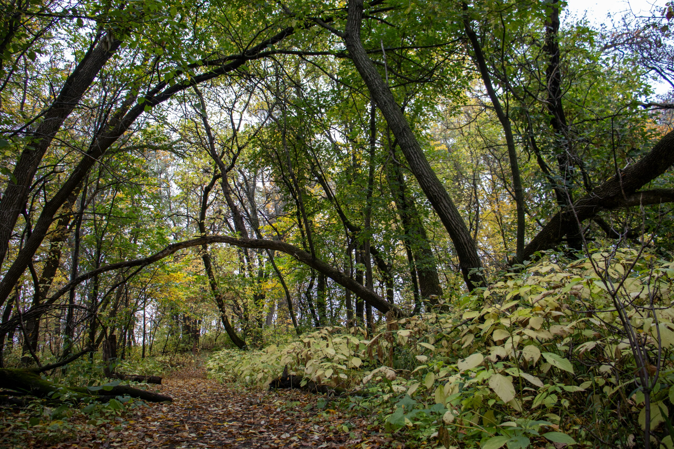 La Barriere Park, Manitoba